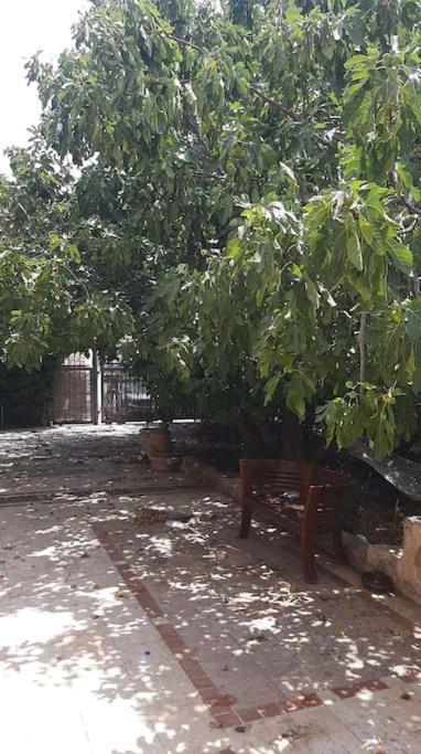 צפת Self-Contained Garden Apartment With Galilee Sea & Mountains View 2 מראה חיצוני תמונה