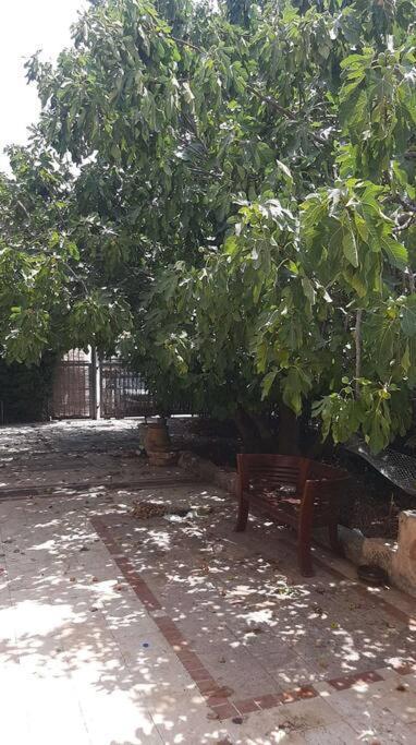 צפת Self-Contained Garden Apartment With Galilee Sea & Mountains View 2 מראה חיצוני תמונה