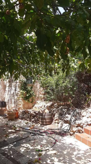 צפת Self-Contained Garden Apartment With Galilee Sea & Mountains View 2 מראה חיצוני תמונה