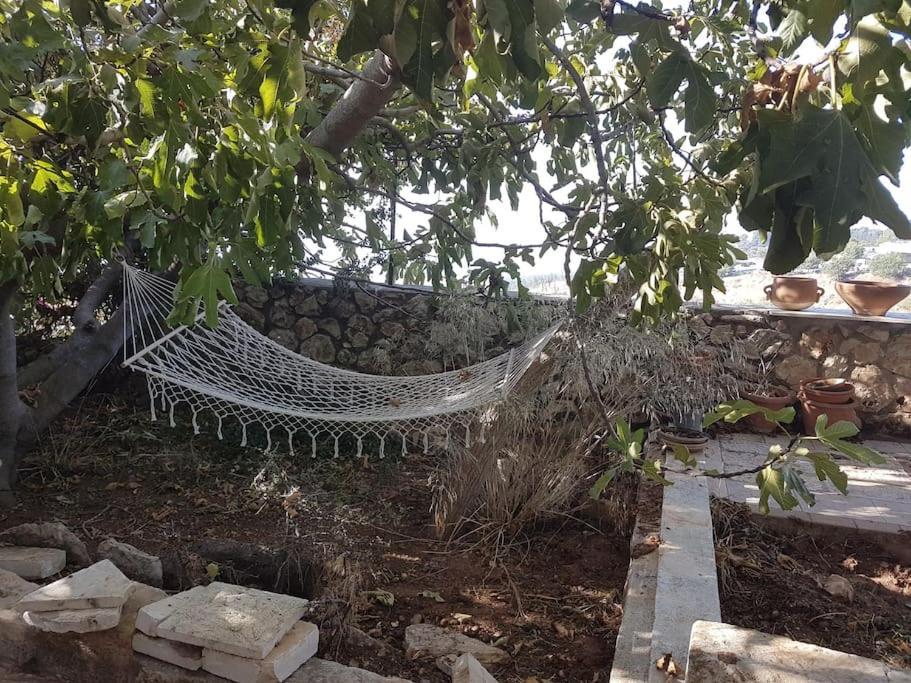 צפת Self-Contained Garden Apartment With Galilee Sea & Mountains View 2 מראה חיצוני תמונה