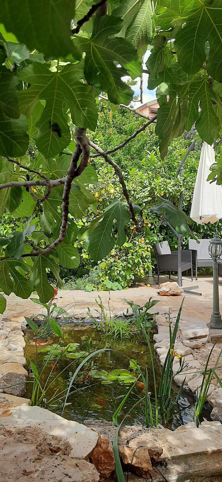 צפת Self-Contained Garden Apartment With Galilee Sea & Mountains View 2 מראה חיצוני תמונה