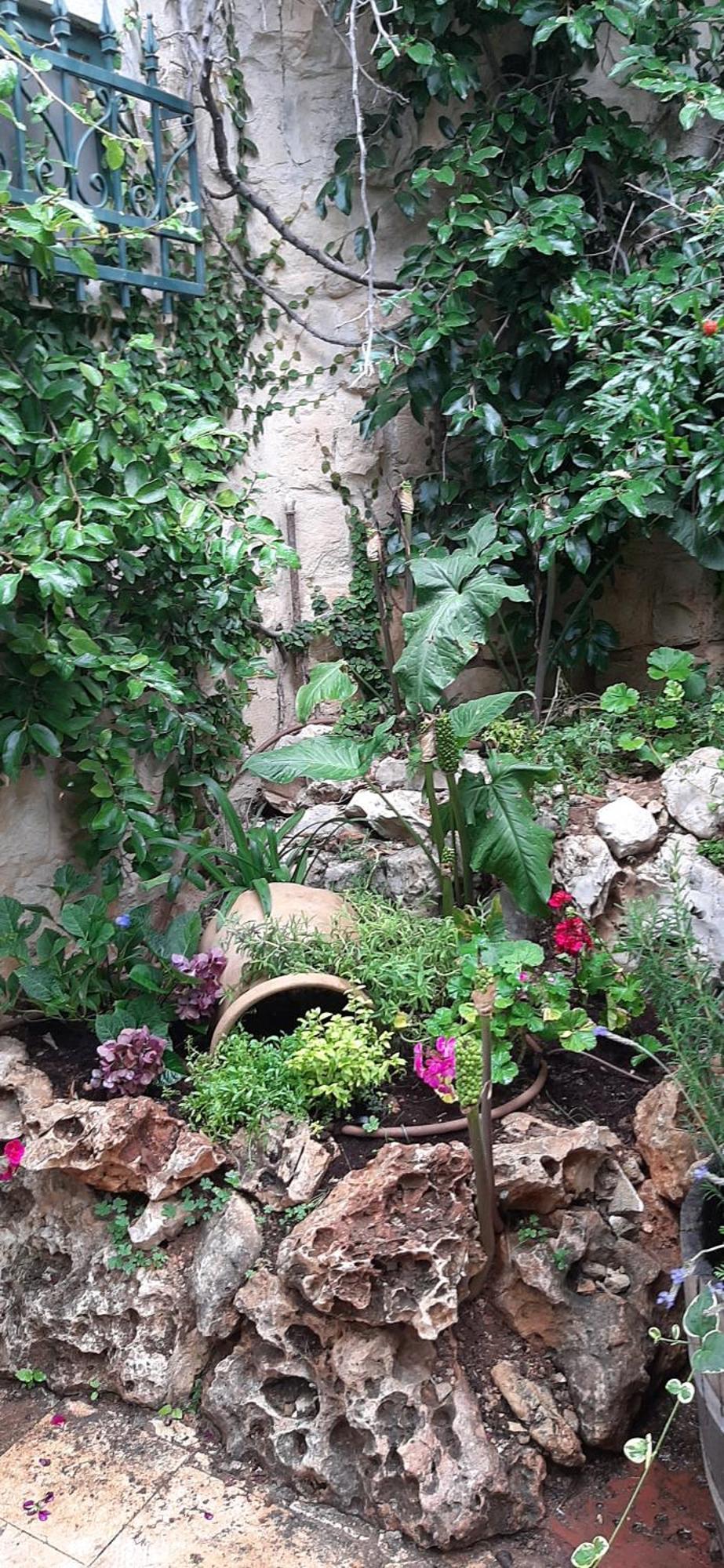 צפת Self-Contained Garden Apartment With Galilee Sea & Mountains View 2 מראה חיצוני תמונה